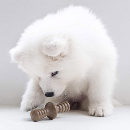 Benebone Pet Supplies Benebone Puppy 2-Pack Maplestick/Zaggler Bacon - Tiny