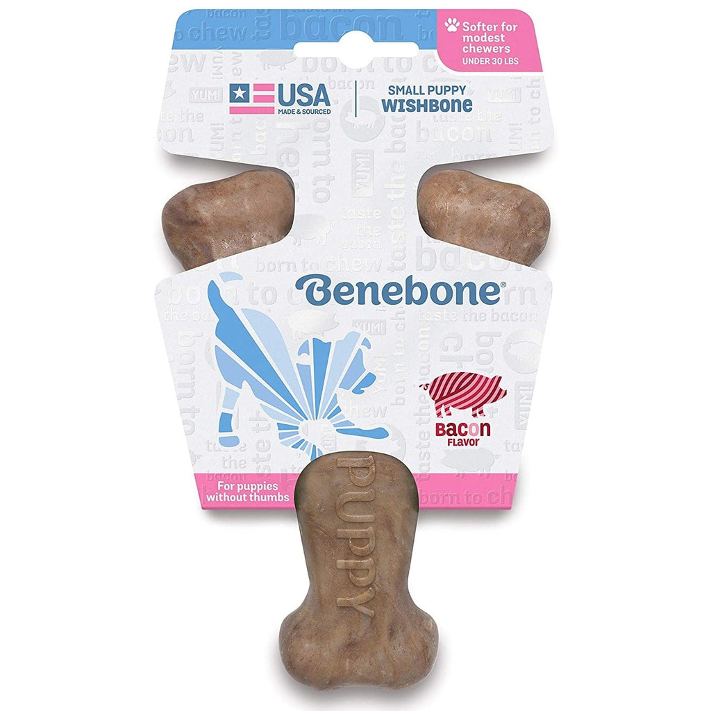 Benebone Pet Supplies Benebone Puppy Wishbone Bacon - Small
