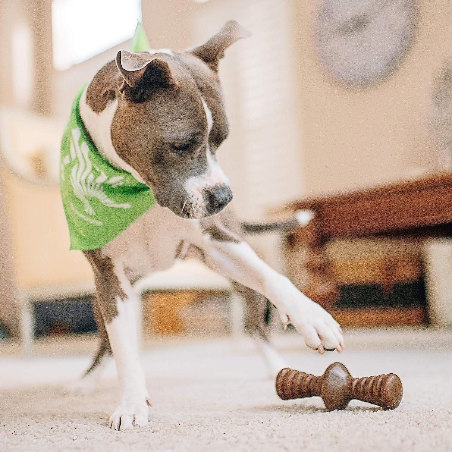 Benebone Pet Supplies Benebone Zaggler Bacon - Medium