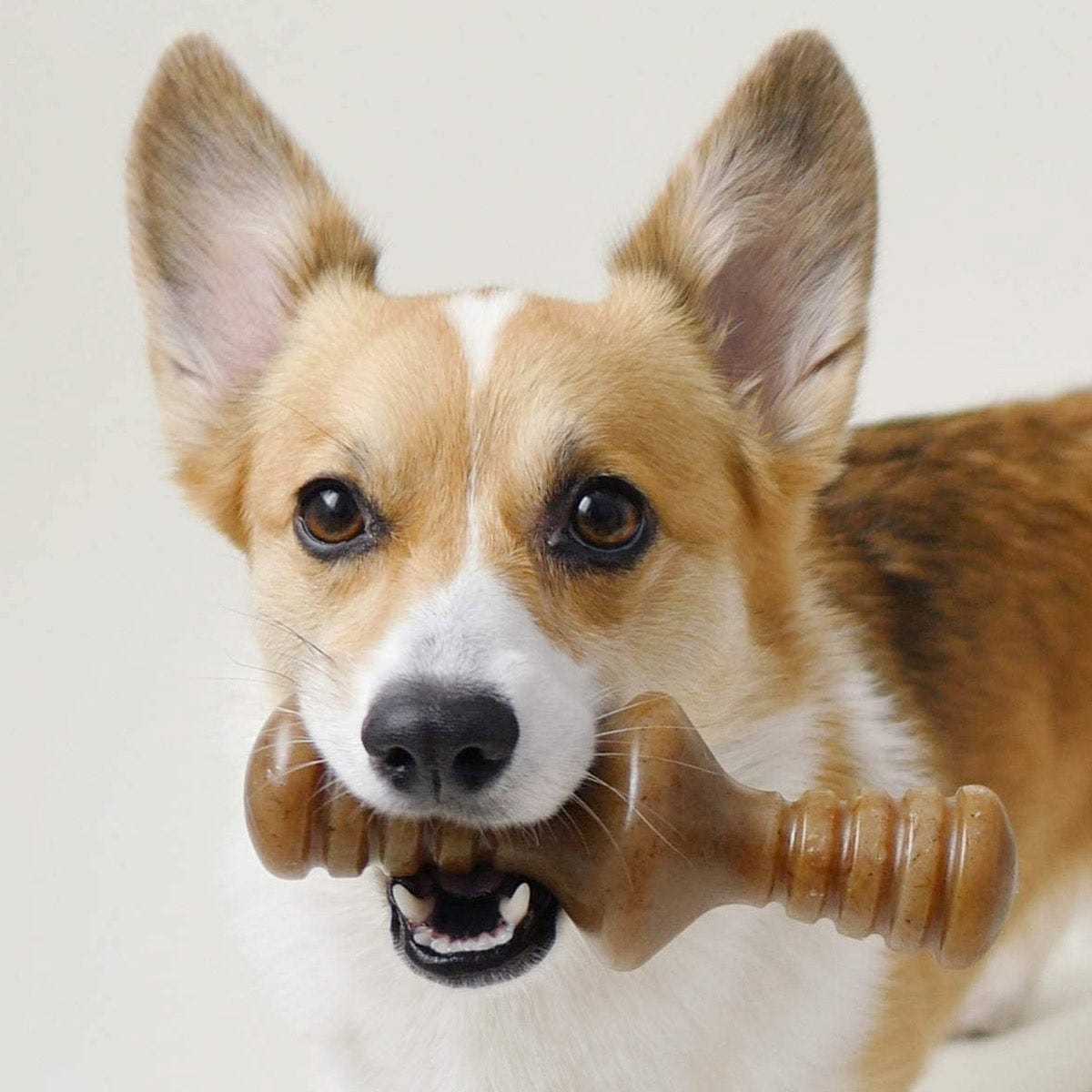 Benebone Pet Supplies Benebone Zaggler Bacon - Small
