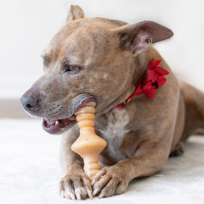 Benebone Pet Supplies Benebone Zaggler Chicken - Small 