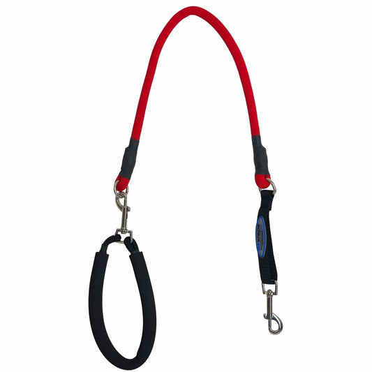 Bergan Pet Supplies Bergan EZ Steps Strech Leash - Medium, Red