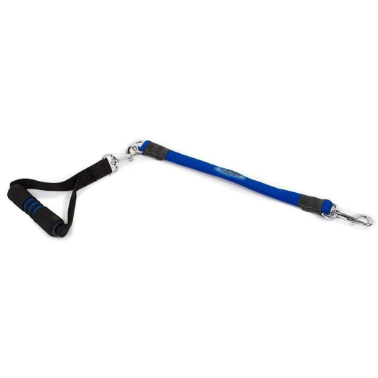 Bergan Pet Supplies Bergan EZ Steps Stretch Leash - Large, Blue