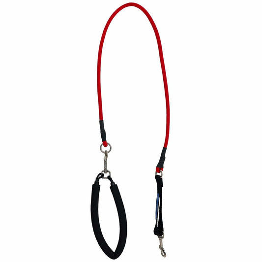 Bergan Pet Supplies Bergan EZ Steps Stretch Leash - Small