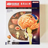 champei Toys Champei 4D Human Anatomy-Human Brain