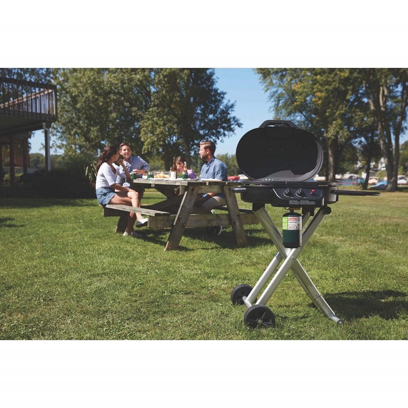 coleman Outdoor Coleman Coleman RoadTrip 225 Portable Stand-Up Propane Grill