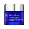 Dr Dennis Gross Beauty Dr Dennis Gross B3 Adaptive SuperFoods Stress Repair Face Cream 60ml