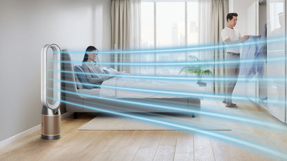 Dyson Household Appliances Dyson Purifier Cool Formaldehyde Fan White/Gold TP09