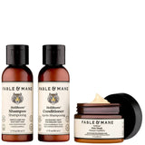 Fable & Mane Beauty Fable & Mane Holiroots Discovery Set