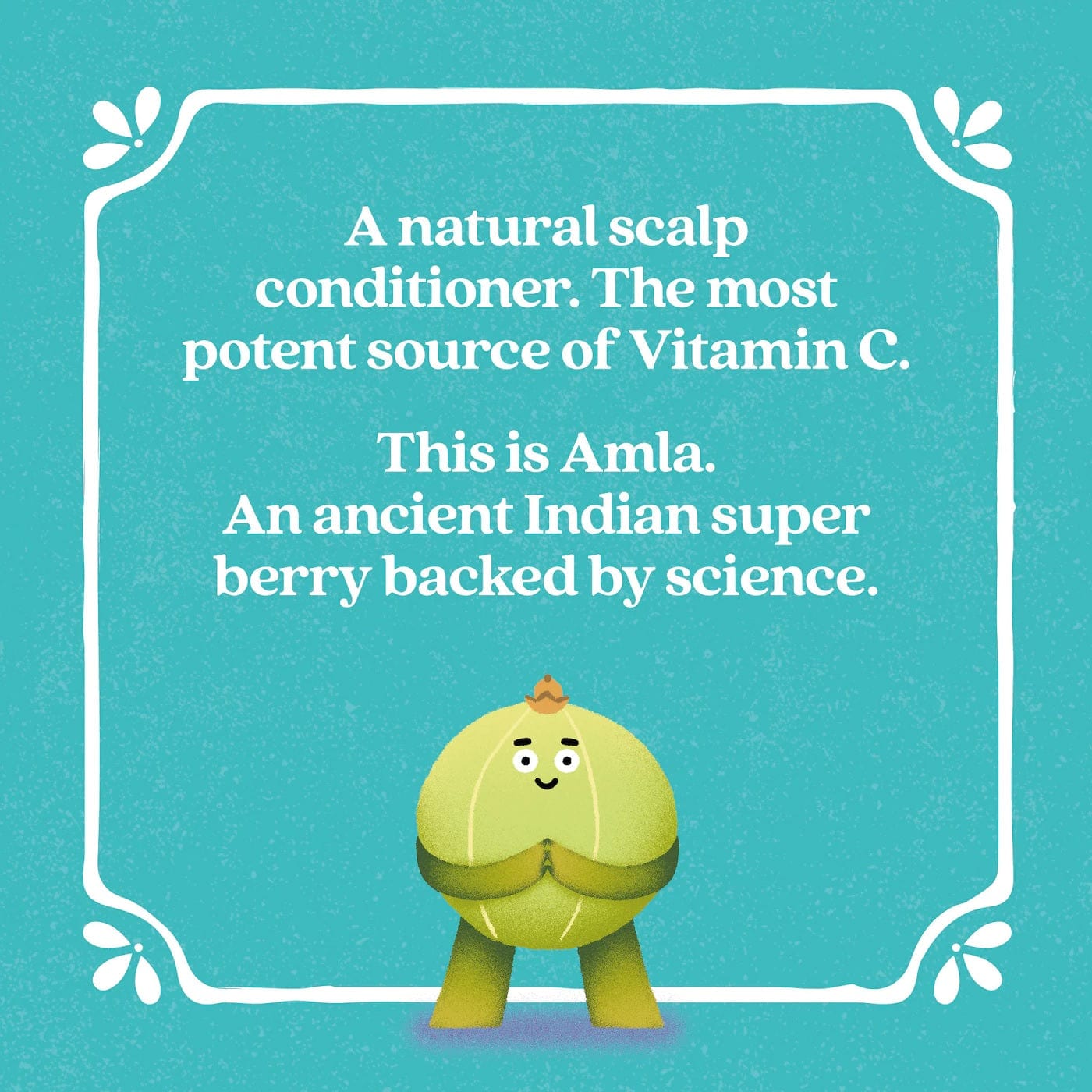 Fable & Mane Beauty Fable & Mane SahaScalp Amla Soothing Serum 55ml