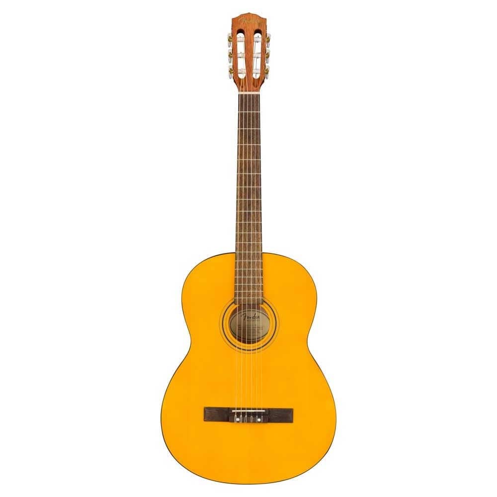 Fender Electronics Fender ESC-105 Educational Series WN