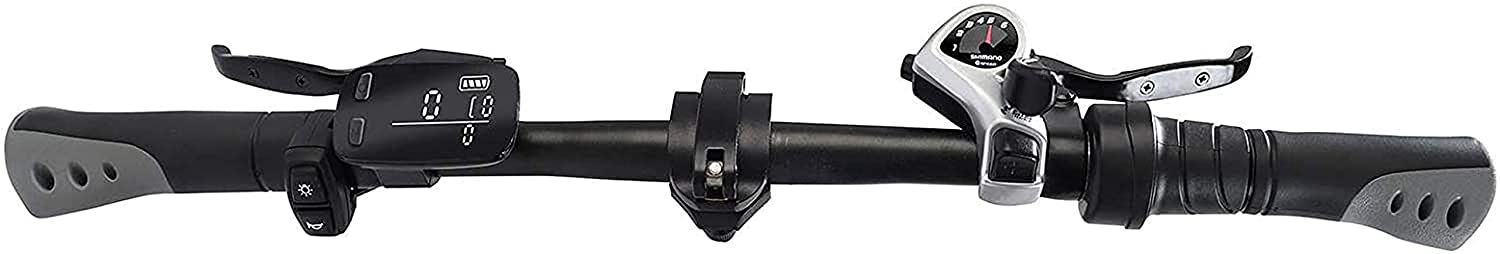 Fiido Fiido E-Bike Folding D4S Black, 20 Inch Electric Bikes For Adults, 36V 250W Mountain Ebike, Max Speed 25Km/H, Removable Battery, Outdoor Cycling Bike