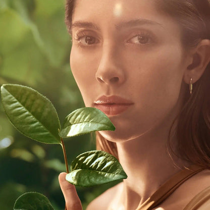 Fresh Beauty Fresh Tea Elixir Skin Resilience Activating Serum 30ml