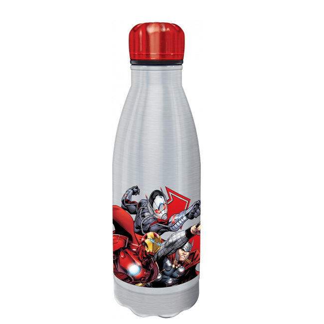 Frozen 2 Outdoor Avengers - Water Bottle 600ml Double Wall