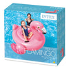 Intex Outdoor Intex Flamingo Ride-On Age 3+