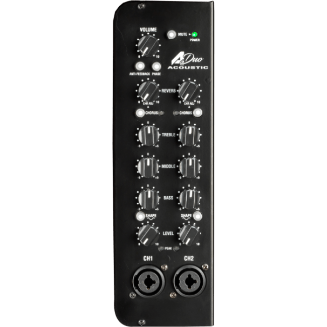 Laney Electronics Laney A-DUO Acoustic Instrument Combo - 120W - 2 x 8 Inch Coaxial Woofers