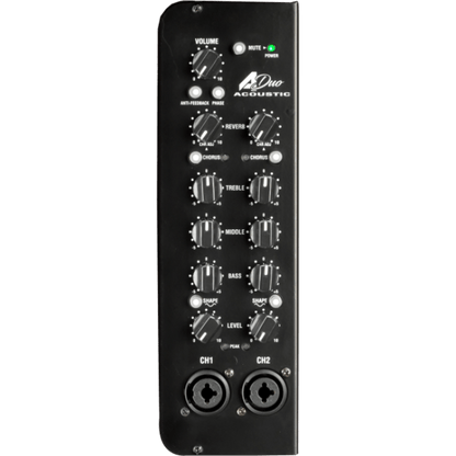 Laney Electronics Laney A-DUO Acoustic Instrument Combo - 120W - 2 x 8 Inch Coaxial Woofers