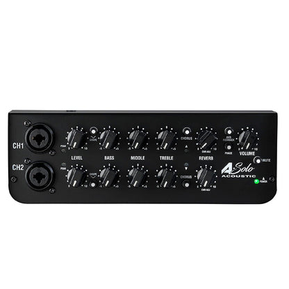 Laney Electronics Laney A-SOLO Acoustic Instrument Combo - 60W - 8 Inch Coaxial Woofer