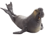 Mojo Toys Sea Elephant (Portugal)