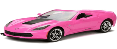 New Bright Beauty NB 1:8 RC Charger Corvette