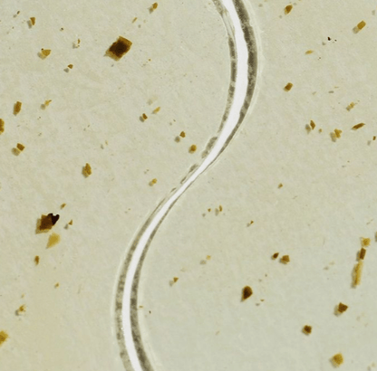 Patchology Moodpatch Perk Up [Pack Of 5]