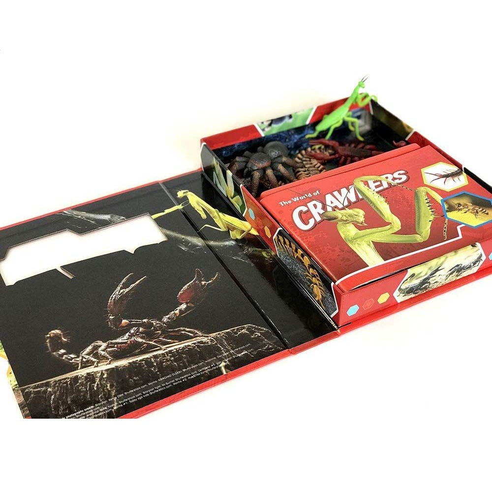 Phidal Toys Phidal - Crawlers Pocket Explorers