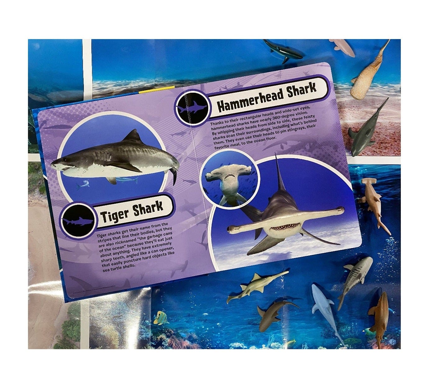 Phidal Toys Phidal - Sharks My Busy Books
