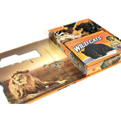 Phidal Toys Phidal - Wildcats Pocket Explorers