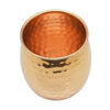 Raj Home & Kitchen On - Raj Copper Mule Glass (27X15X13 cm) - (TCG008)