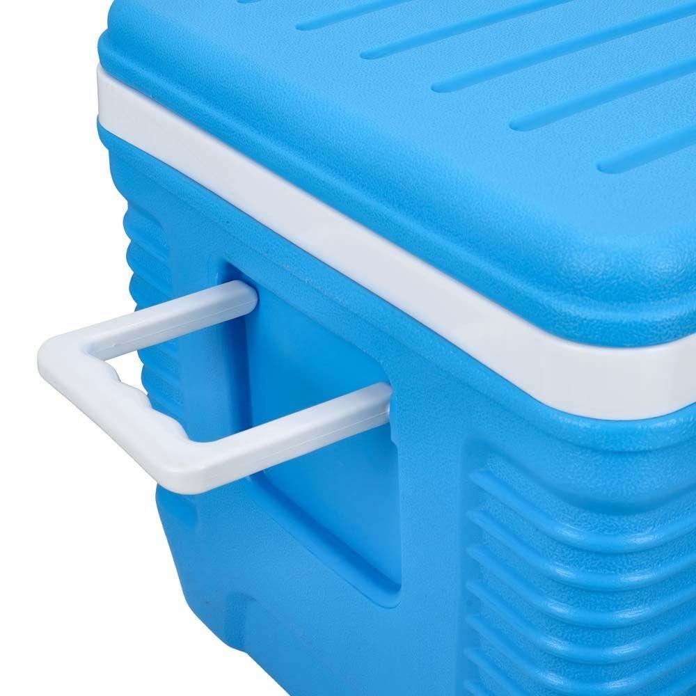 Ford best sale ice chest