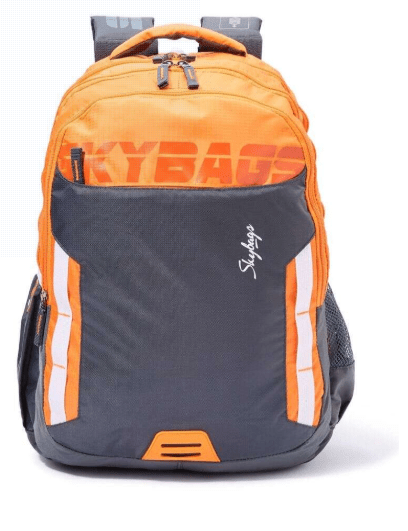 Skybags Back to School Figo Extra Casual Backpack - 36 Liter, 49 cm