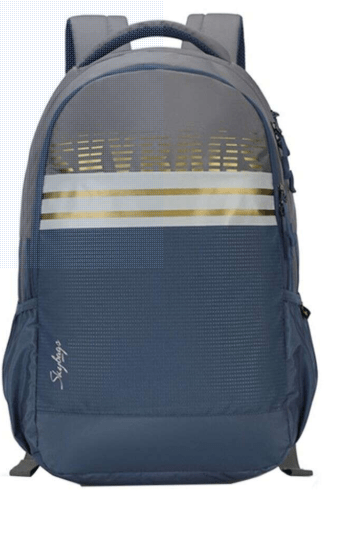 Skybags Back to School Herios Laptop Backpack - 27 Liter, 49 cm