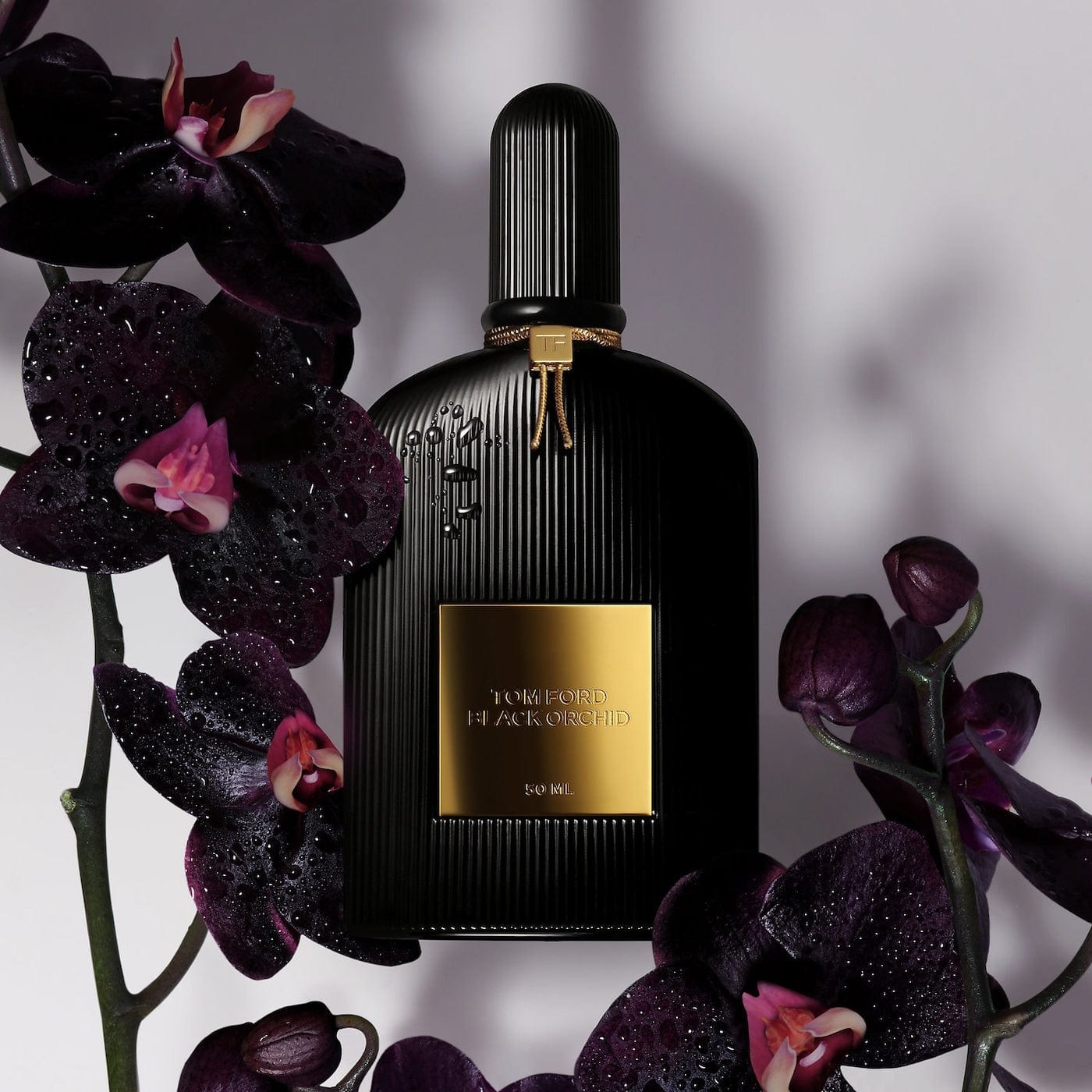 Tom Ford Perfumes Tom Ford Black Orchid - Eau de Parfum, 100 ml