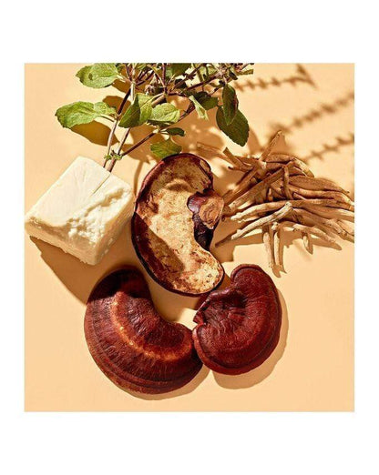 YOUTH TO THE PEOPLE Beauty YOUTH TO THE PEOPLE Adaptogen Deep Moisture Cream( 59ml )