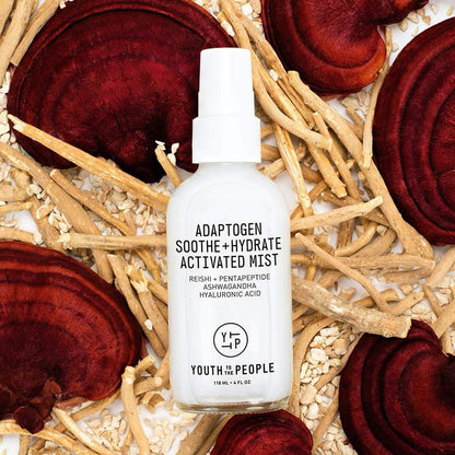 YOUTH TO THE PEOPLE Beauty YOUTH TO THE PEOPLE Adaptogen Soothe + Hydrate Activated Mist( 118ml )